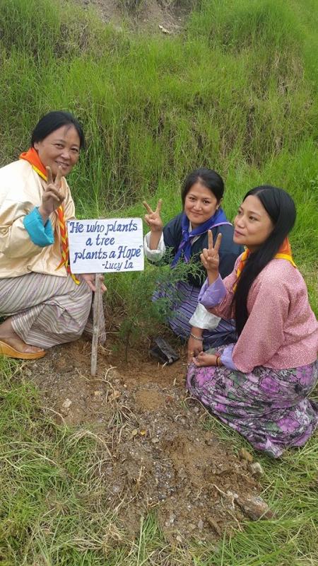 Peace Tree Plantation