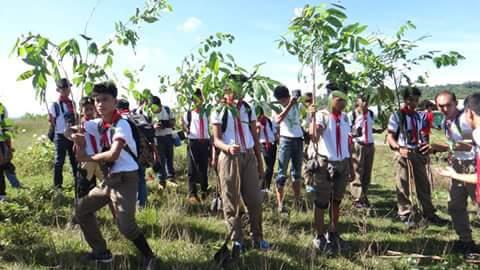QNHS tree planting