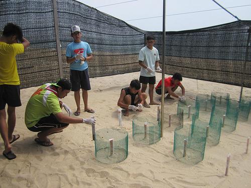 Project Orion V - Rovering with Turtles