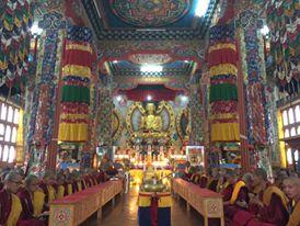 volunteers are paid in six figures...S M I L E S~Gayla LeMaire