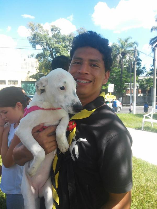 Feria de adopciones de animales