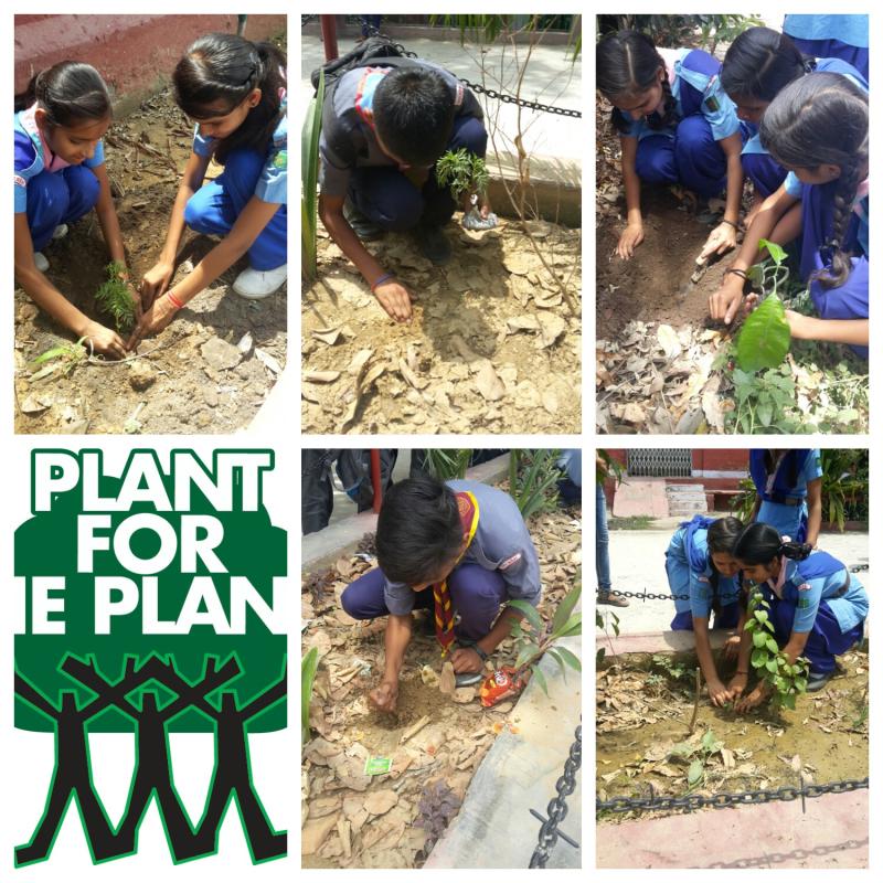 Plant for the planet
