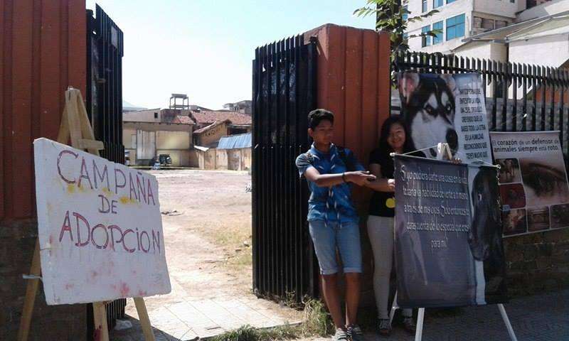 Una mano una patita (colaboracion)