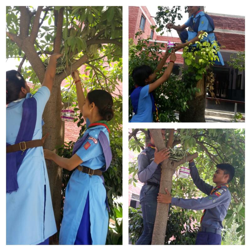 Celebrate world environment day 