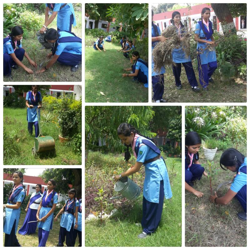 Cleaning garden and watering in plant 