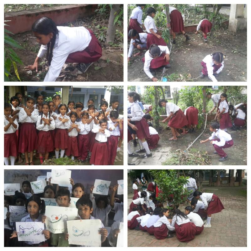 Clean garden clean grass and clean school with mop