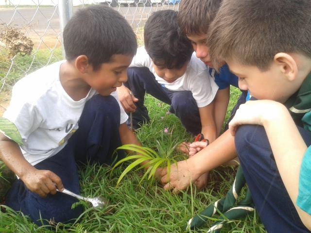 Mi comunidad + verde