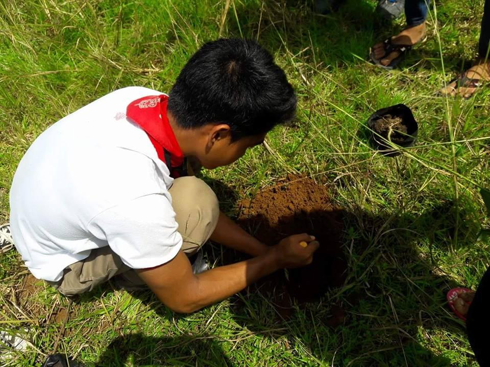 Tree Planting