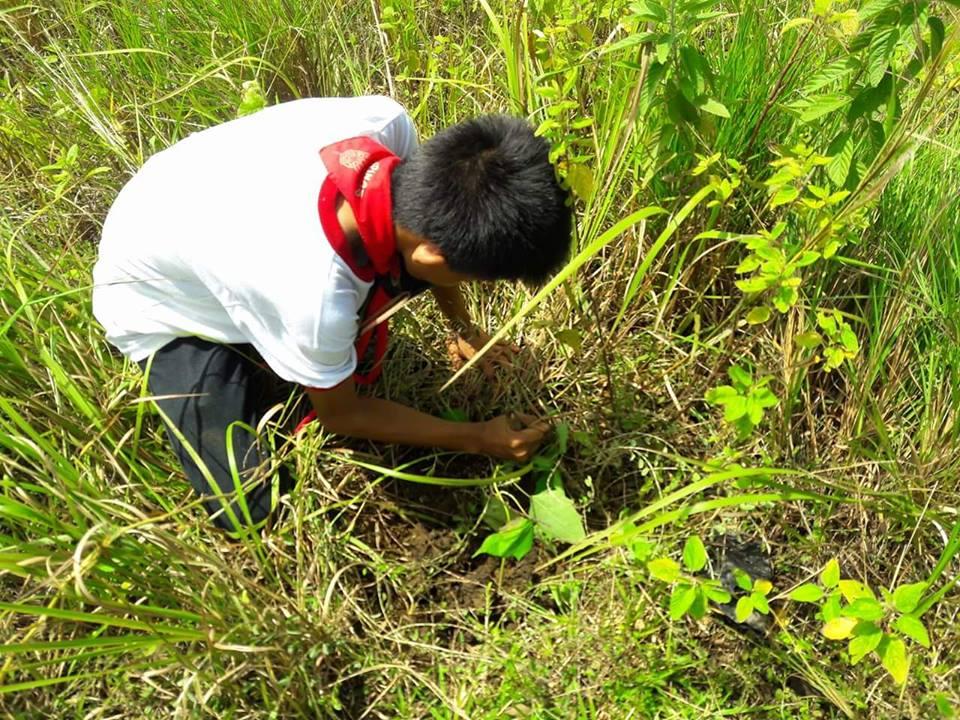 QNHS Tree Planting