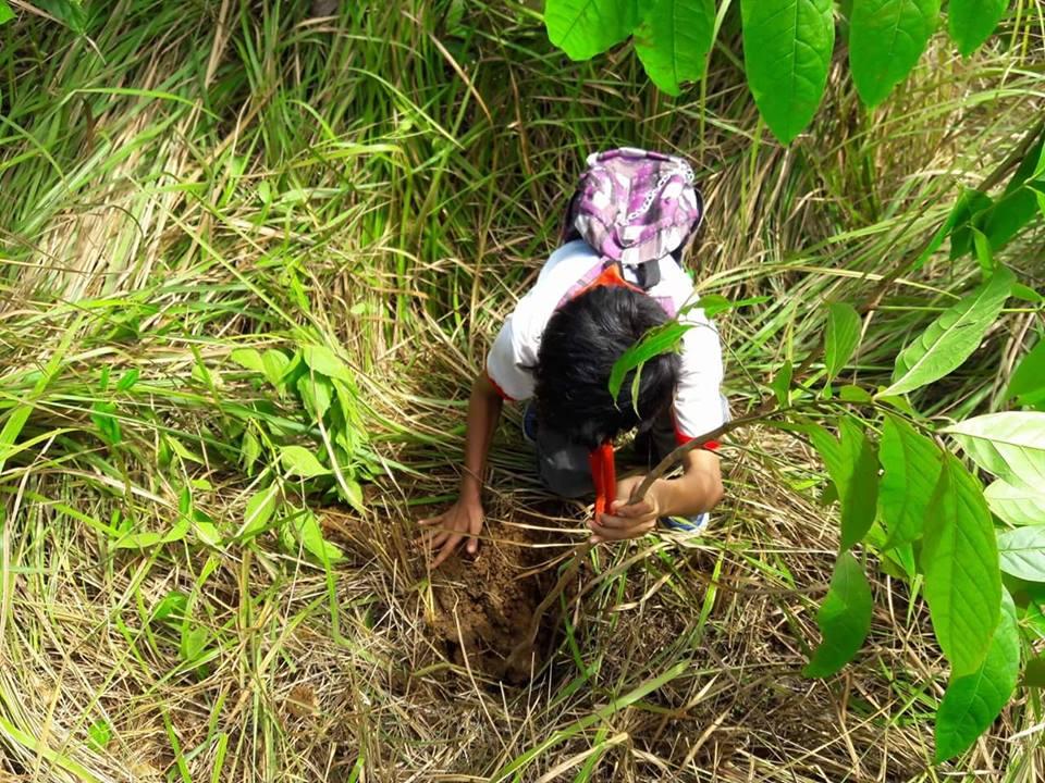 Tree Planting
