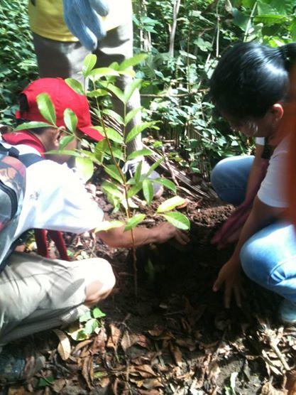 TREE PLANTING ACTIVITY 2013