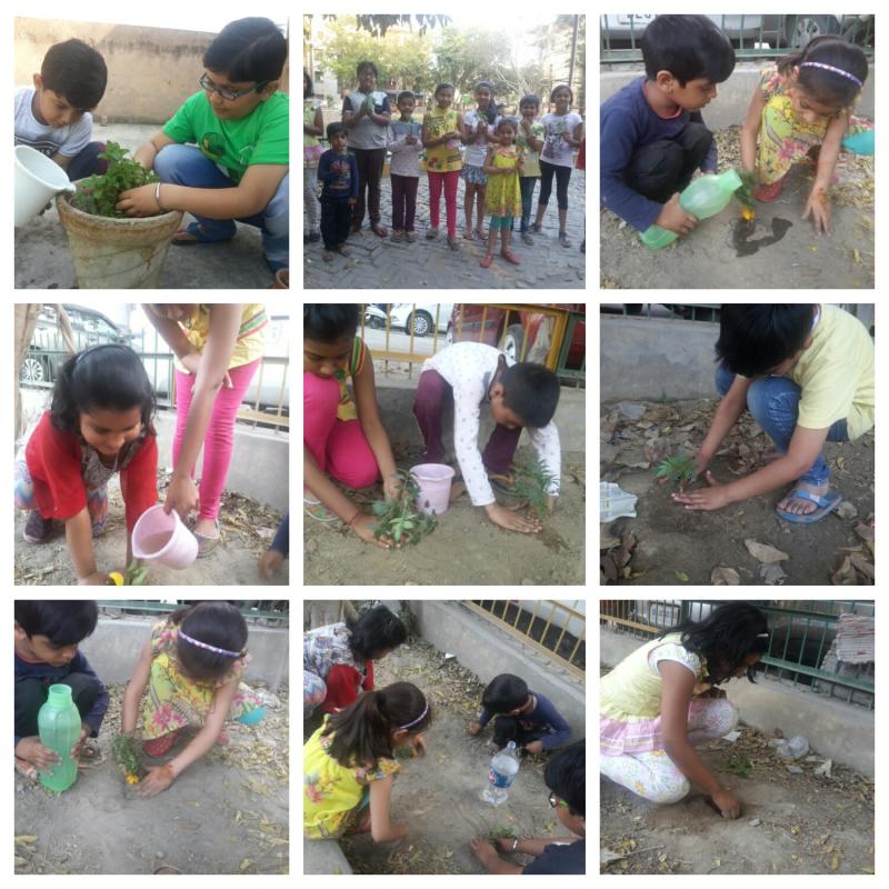 World forest day