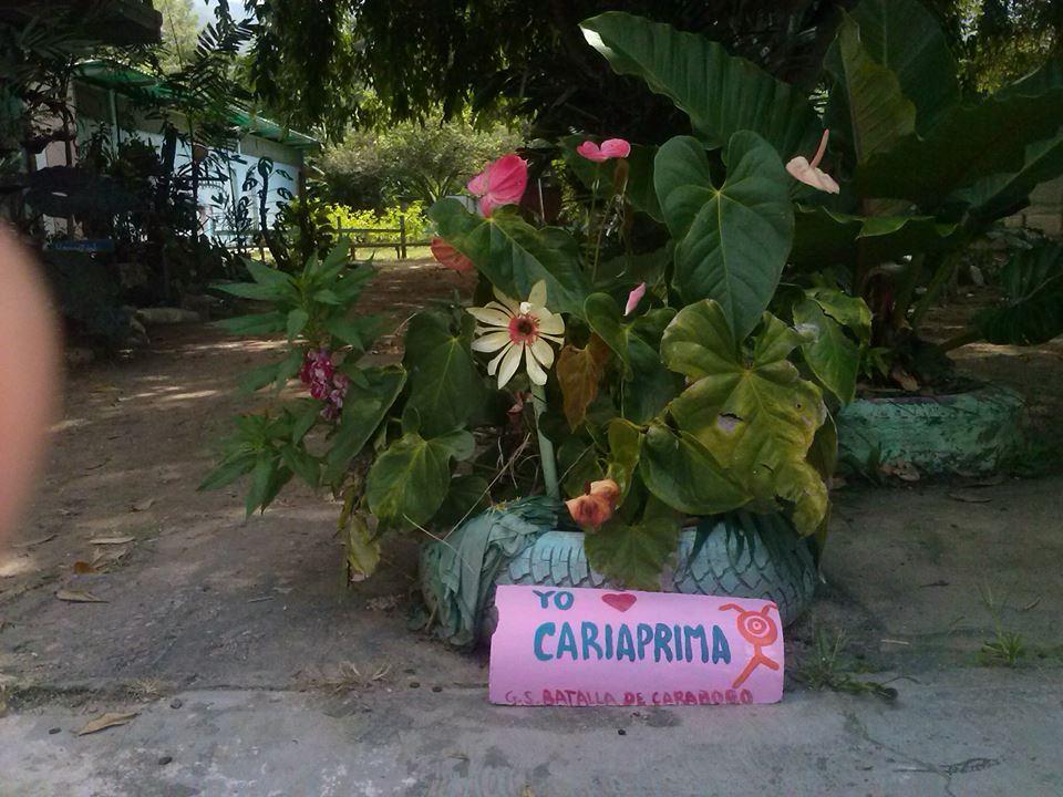 Ayuda a Cariaprima 