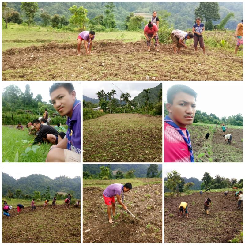 Millet Plantation Project