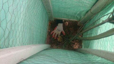 "A LIMPIAR EL MUNDO 2017"