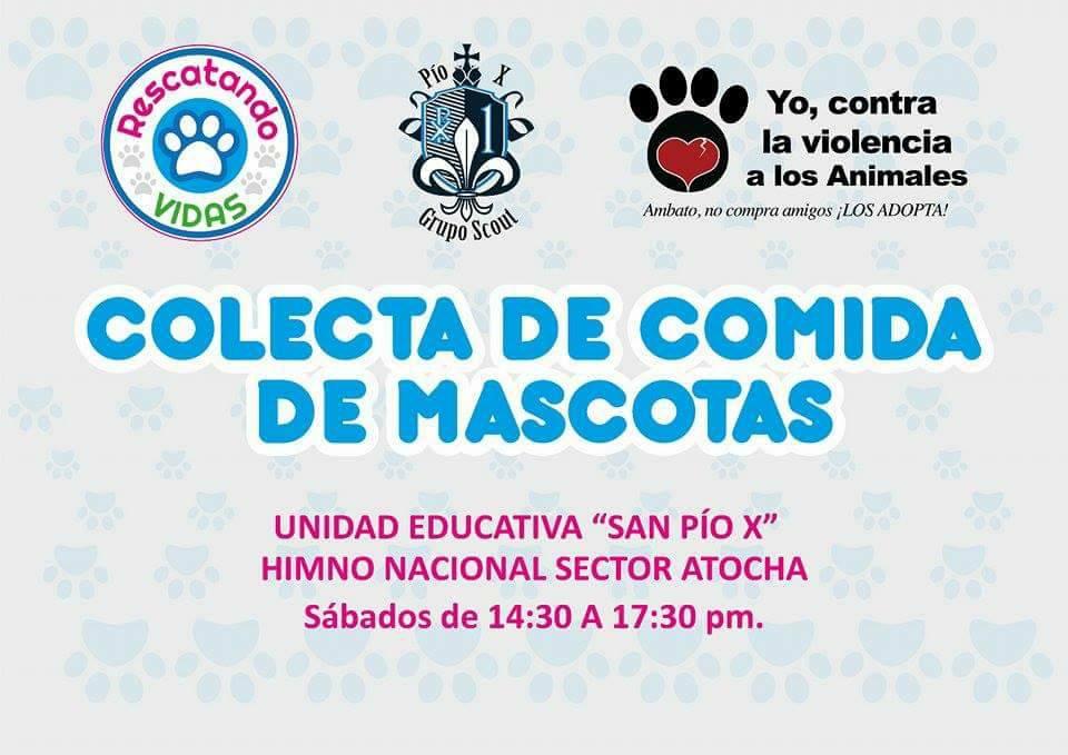 Recolección de comida para Perros  y Gatos  