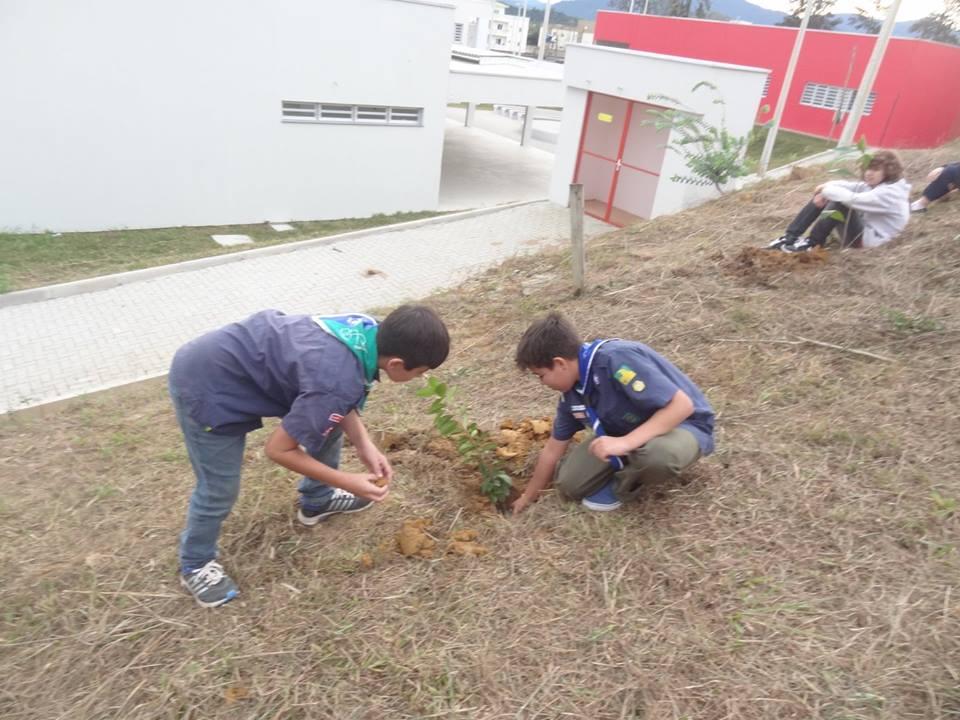Plantio Solidário