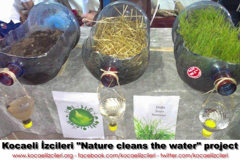 Nature Cleans The Water