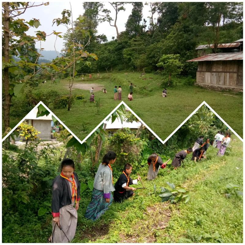 Marking Social Forestry Day