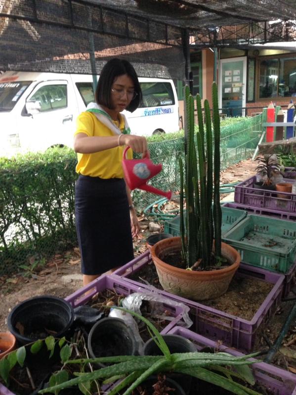 Earth hour ปลูกต้นไม้เพื่อสิ่งแวดล้อม