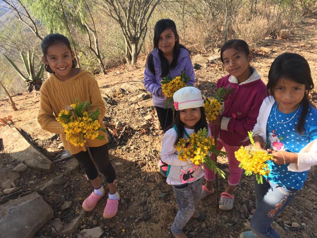 Hacia Una Comunidad Sustentable