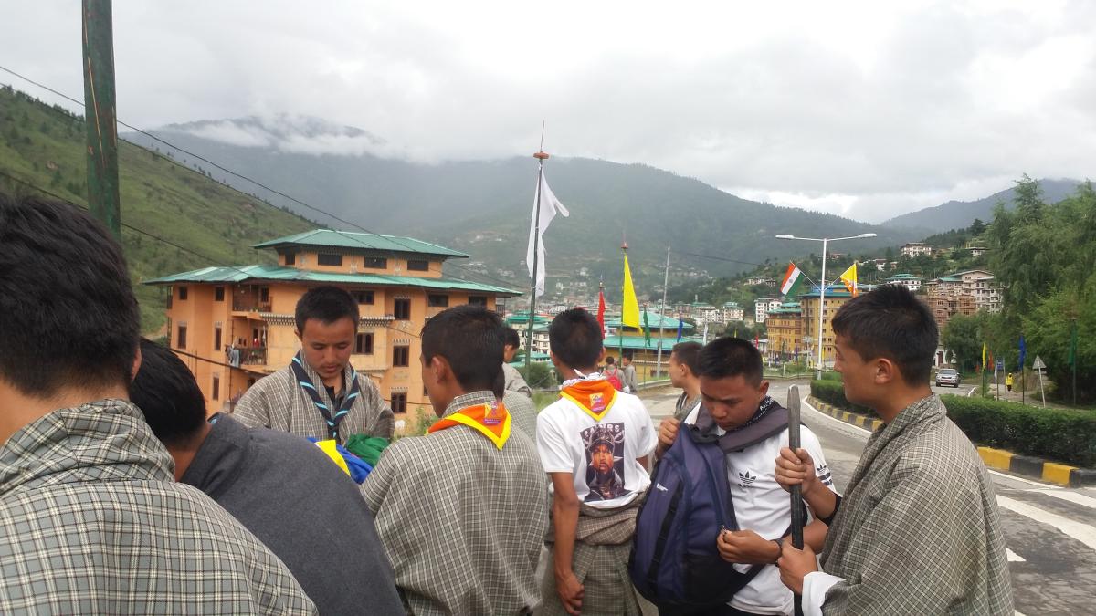 Scout volunteer work