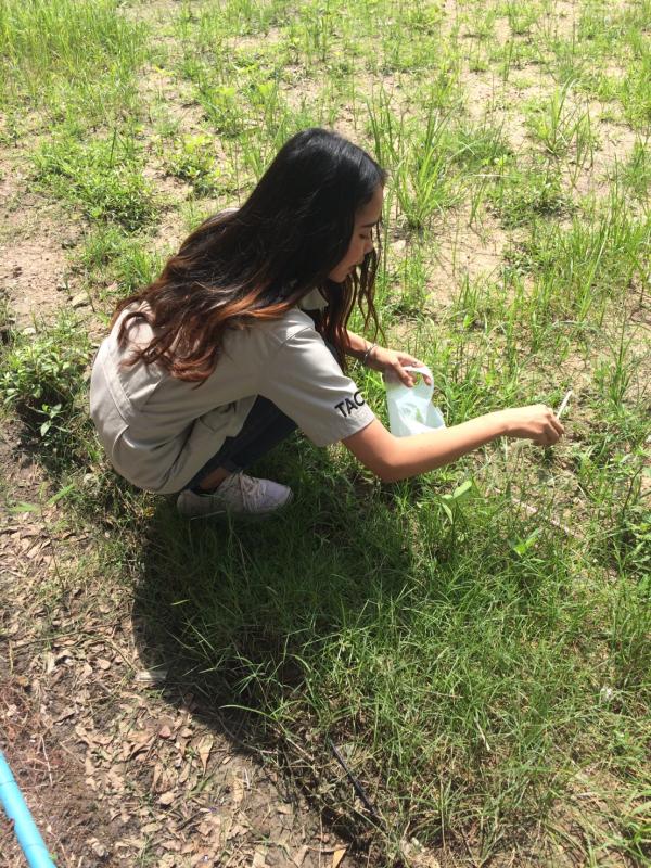 เก็บขยะ