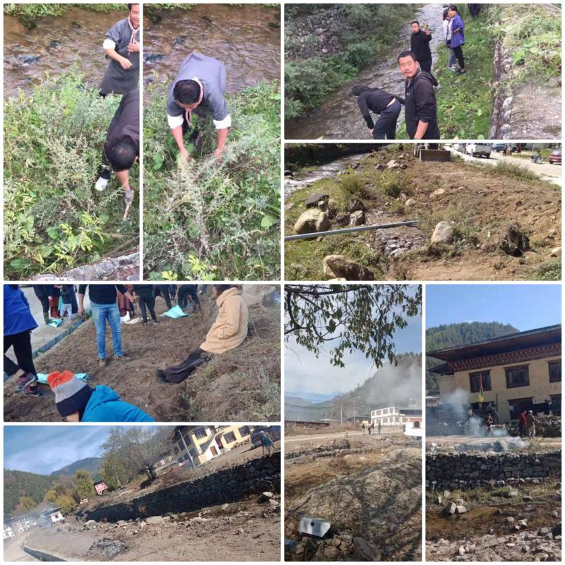 Land scaping for national flower exhibition 2019 