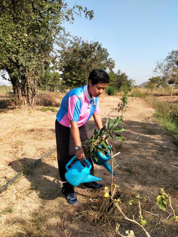 รดน้ำต่อชีวิตป่า