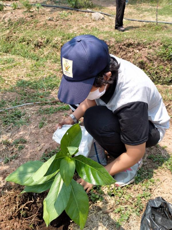 เพิ่มพื้นที่ป่าสร้างออกซิเจนให้ปอดเเข็งเเรงสู้โควิด19