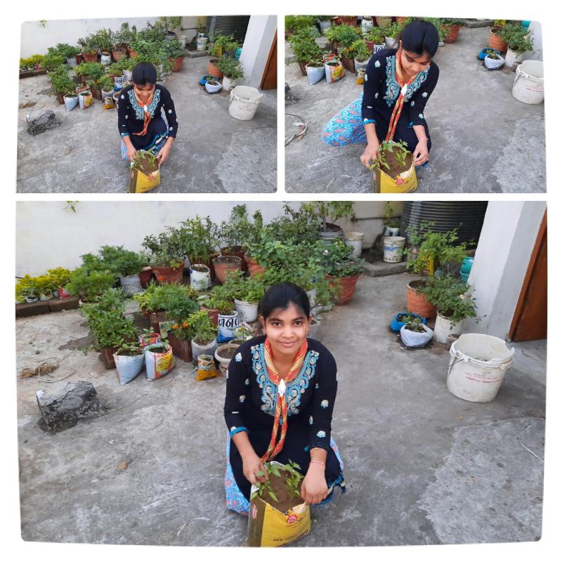 Sankalp - # Goorganic