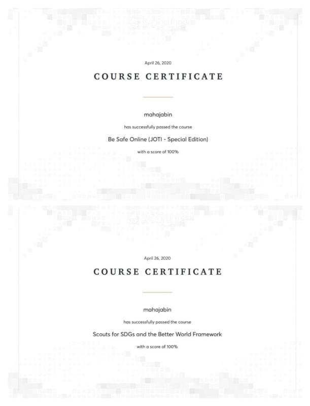 [D] Digital Scouting Guiding