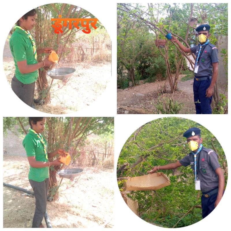 पक्षियों को पानी दाने देने का संकल्प