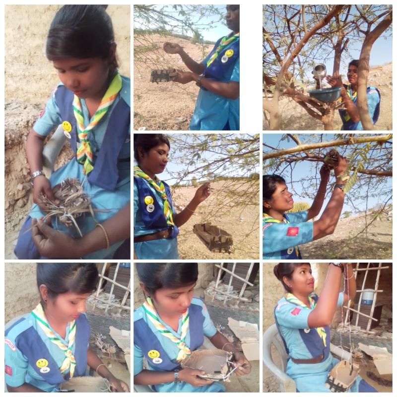 पची  दिवस ए