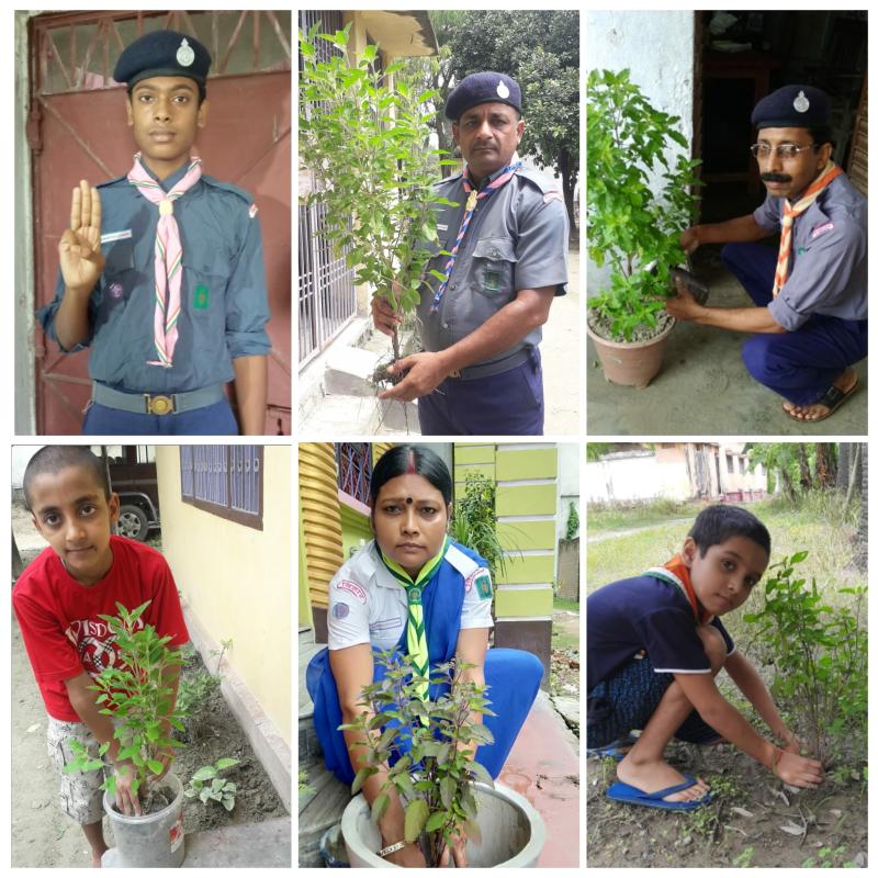 world Scout scarf day के मौके पर लगाया गया आप वृक्ष