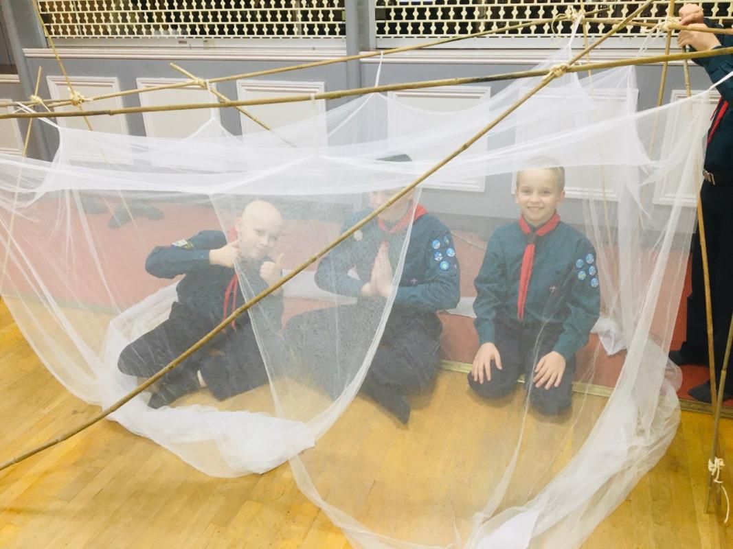 Scouts Against Malaria (SAM)