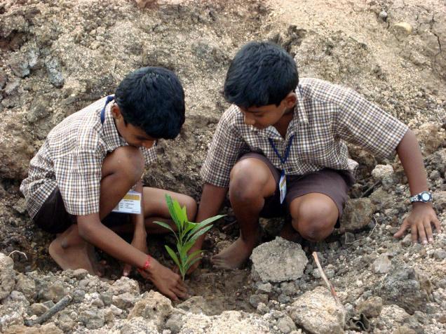 PLANT  TREE SAVE  LIFE