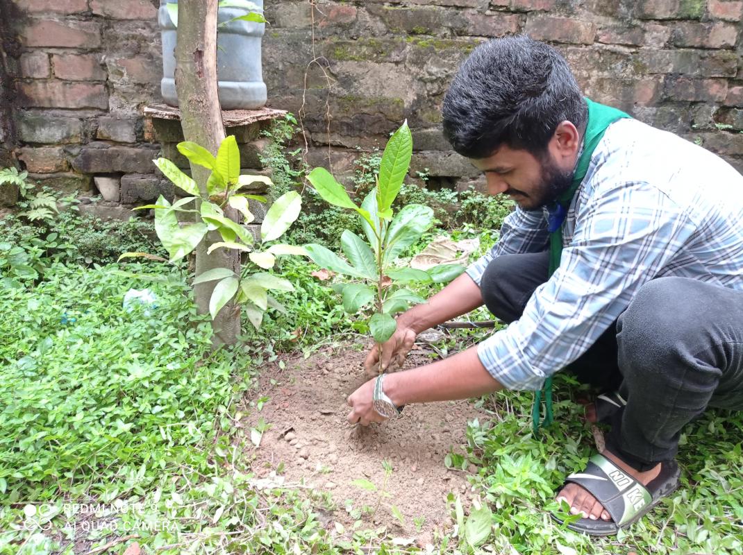 আন্তর্জাতিক শান্তি দিবস ২০২০ উপলক্ষে বৃক্ষ রোপণ কর্মসূচি। 
