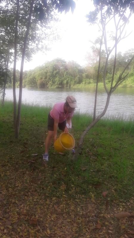 บำเพ็ญประโยชน์