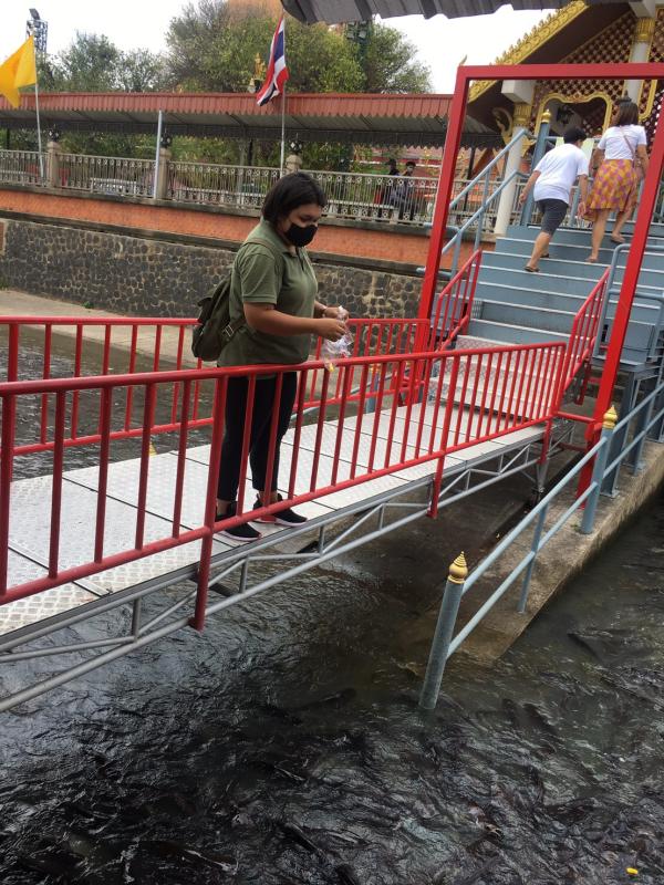 ทำบุญ​ให้อาหารปลา