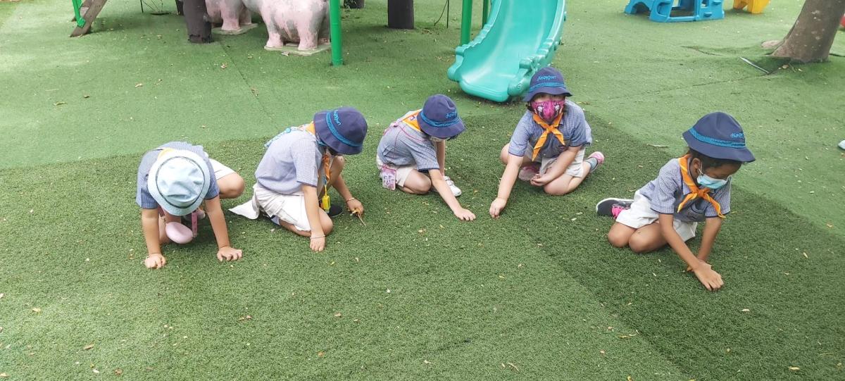 เก็บขยะ