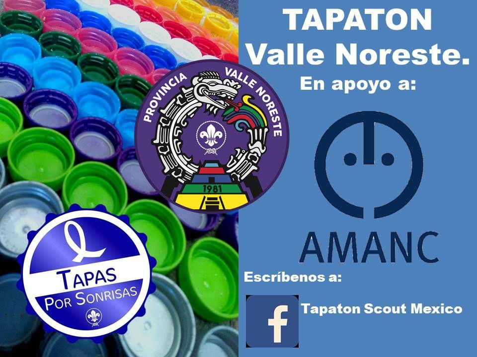 Tapaton Scout Provincia Valle Noreste 