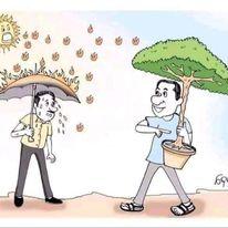 environment programme