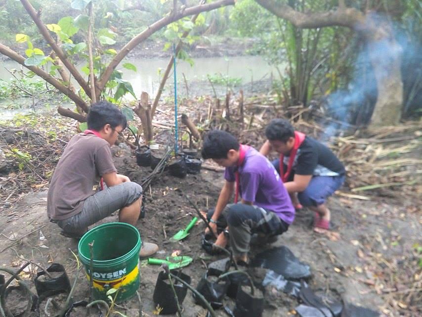 Mangrove Tree Planting