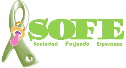 Tejiendo Pelucas SOFE