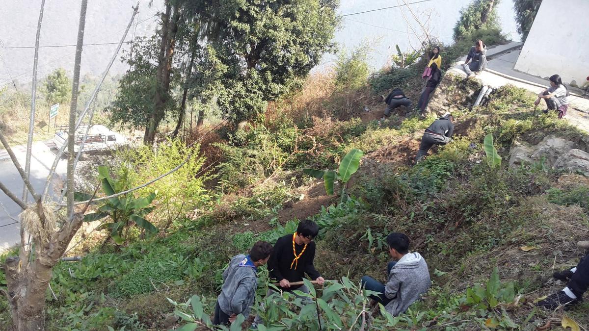 Sampling Plantation