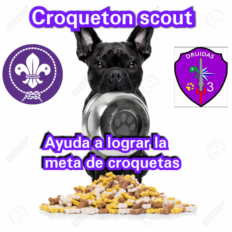 croqueton scout.
