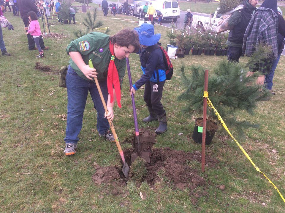 Tree Planting
