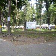 cuidado de arboles
