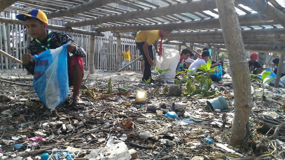 coastal clean-up